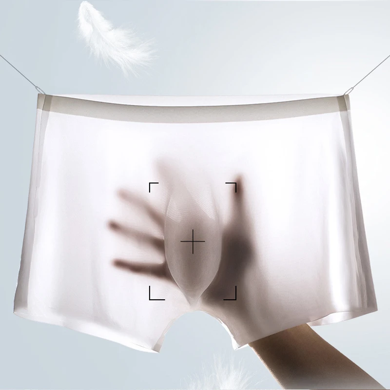 10 Pcs/Lot Men's Summer Ice Si – Boxer Shorts Modal recenzja i cena