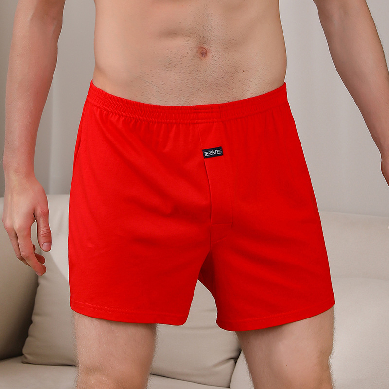 1PCS Men's Underwear Aro Pants – Boxer Brief Pack Cotton recenzja i cena