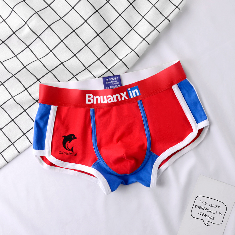Man Underwear Fashion Youth Co – Boxer Brief Pack Cotton recenzja i cena