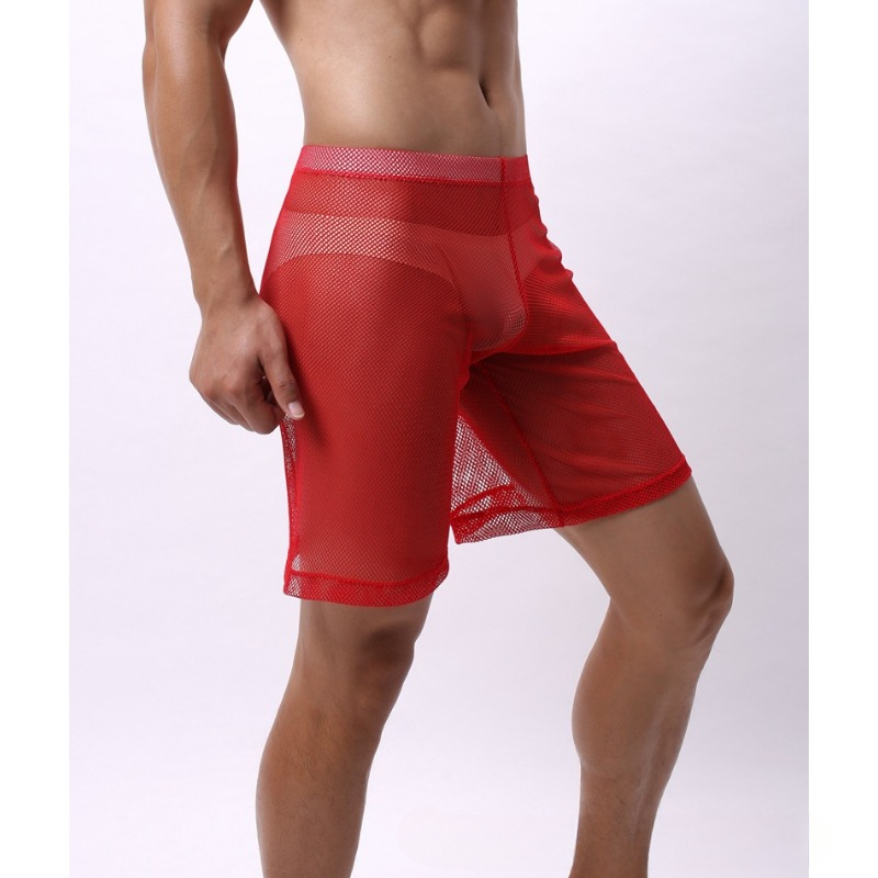 Low Rise Mesh Erotic Underwear – Pouch Boxer Pouch recenzja i cena