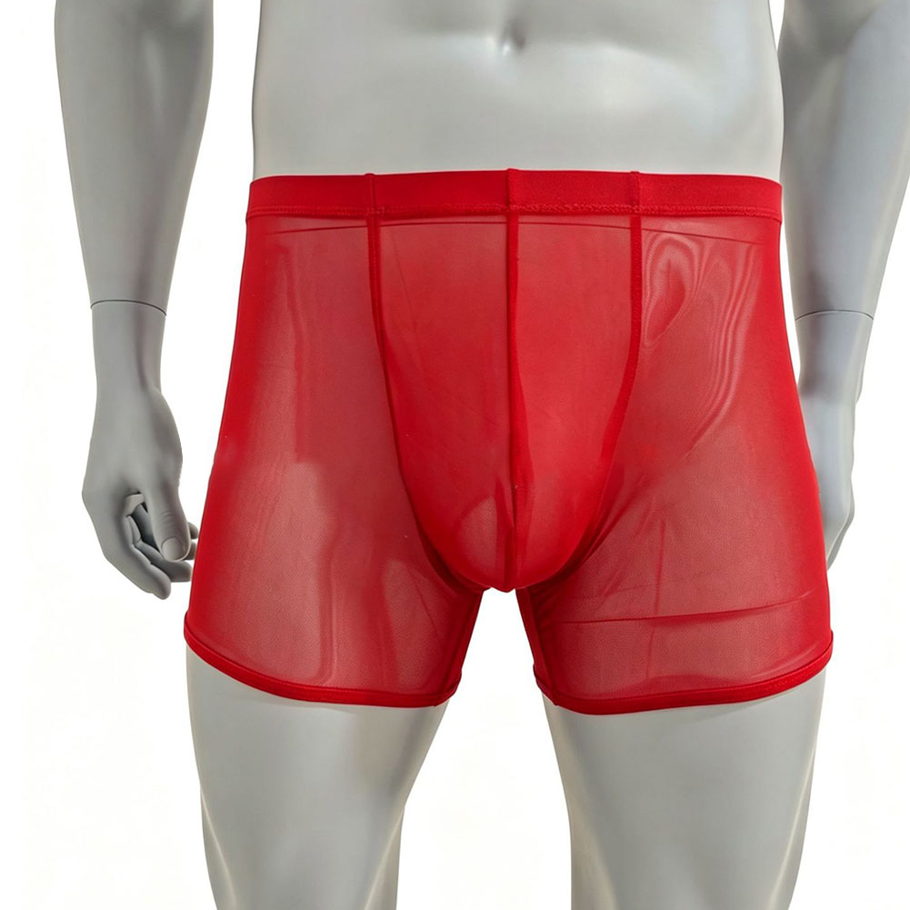 Men Mesh See-through Ultra-thi – Long Leg Trunk Men recenzja i cena