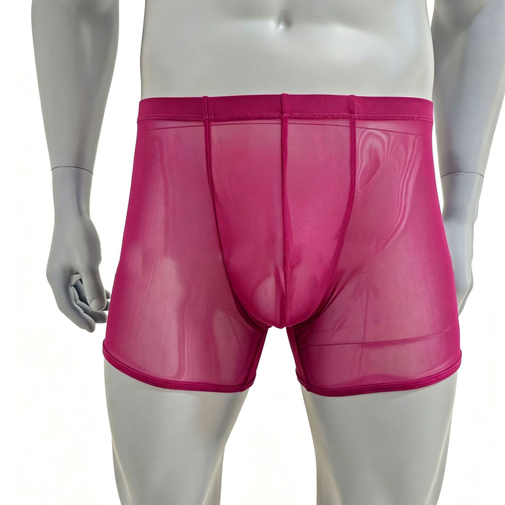 Men Mesh See-through Ultra-thi – Long Leg Trunk Men recenzja i cena
