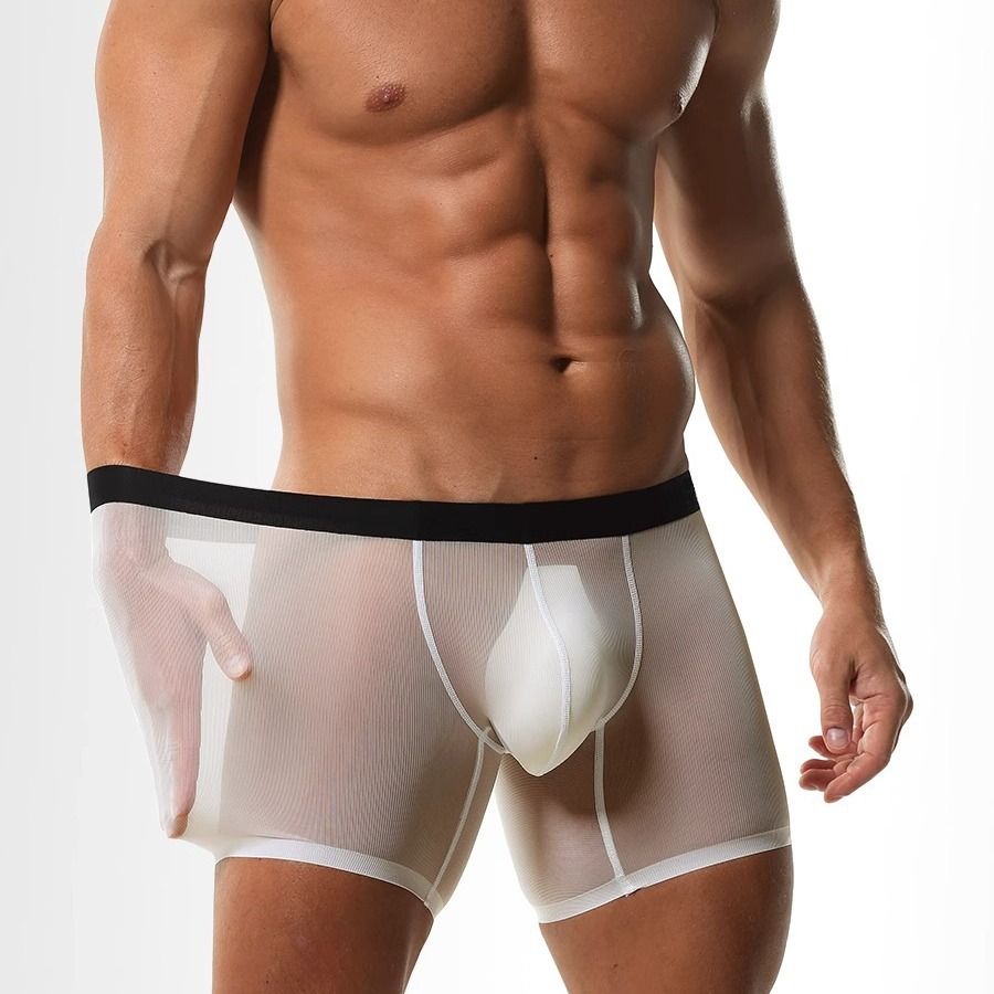 Mens Long Leg Boxer Shorts Ice – Long Leg Trunk Men recenzja i cena