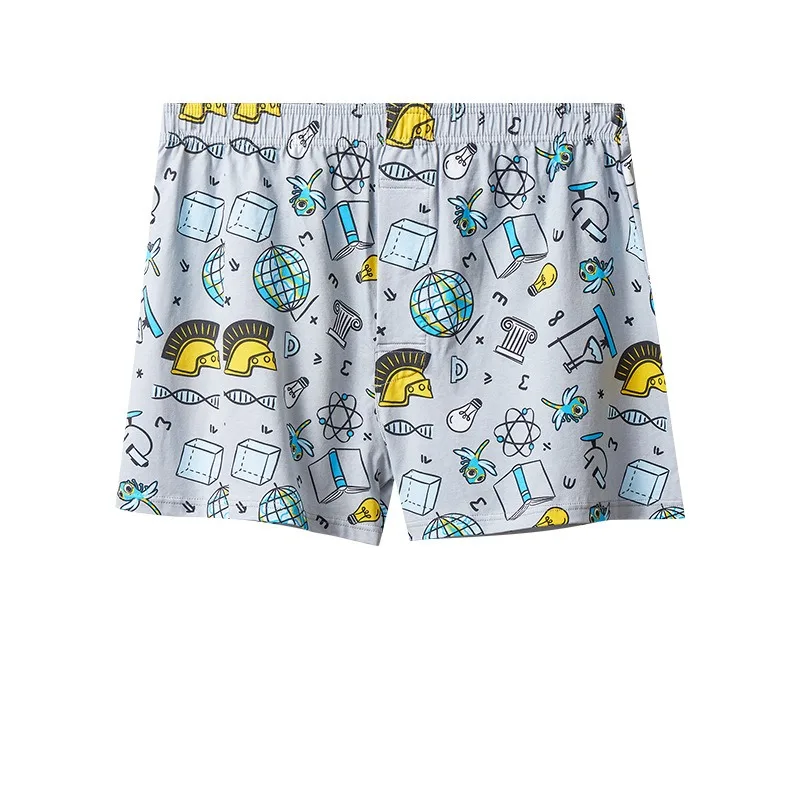 Mens Boxers Cotton Aro Pants S – Boxer Brief Pack Cotton recenzja i cena